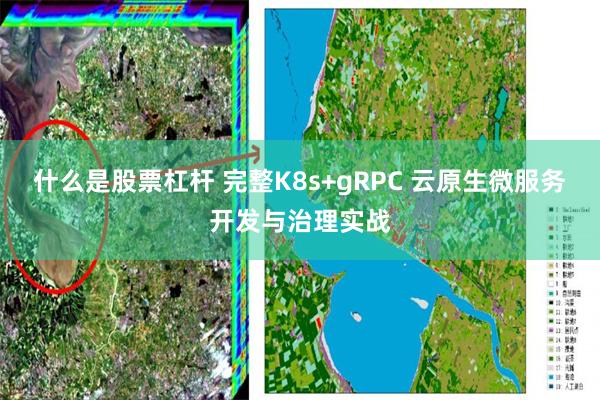 什么是股票杠杆 完整K8s+gRPC 云原生微服务开发与治理实战