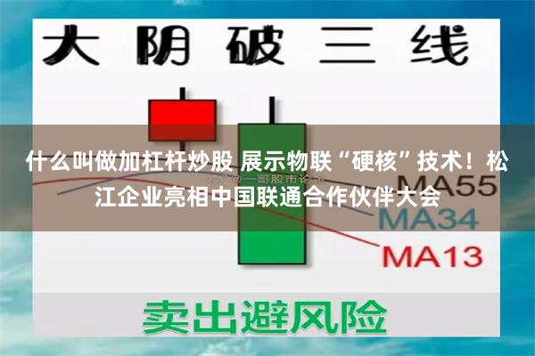 什么叫做加杠杆炒股 展示物联“硬核”技术！松江企业亮相中国联通合作伙伴大会