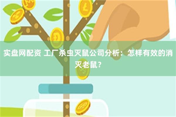 实盘网配资 工厂杀虫灭鼠公司分析：怎样有效的消灭老鼠？