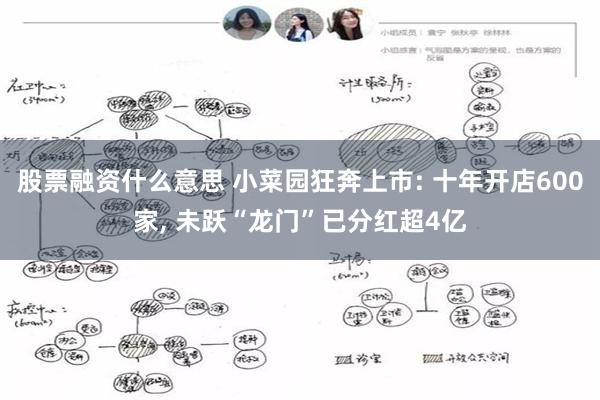 股票融资什么意思 小菜园狂奔上市: 十年开店600家, 未跃“龙门”已分红超4亿