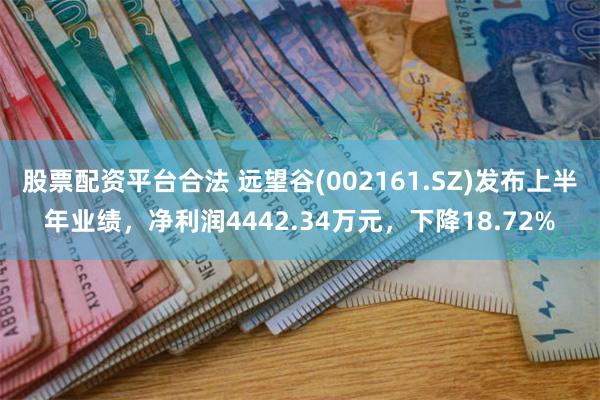 股票配资平台合法 远望谷(002161.SZ)发布上半年业绩，净利润4442.34万元，下降18.72%