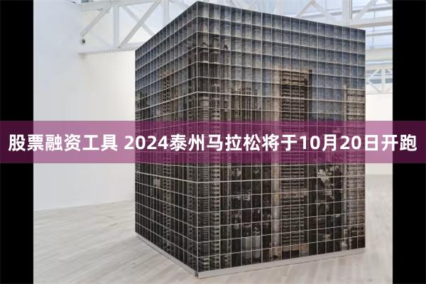 股票融资工具 2024泰州马拉松将于10月20日开跑