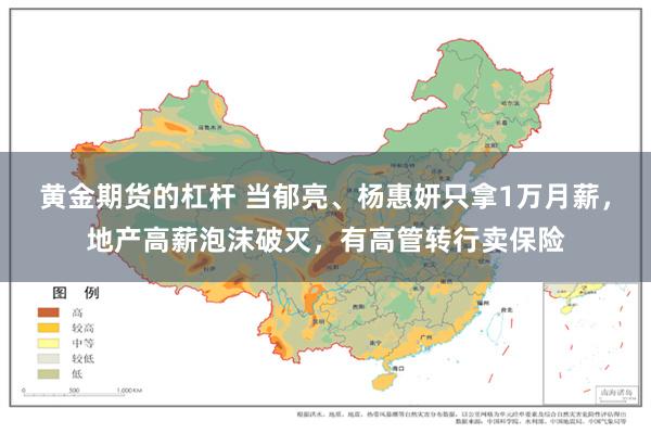 黄金期货的杠杆 当郁亮、杨惠妍只拿1万月薪，地产高薪泡沫破灭，有高管转行卖保险