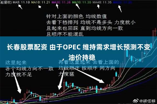 长春股票配资 由于OPEC 维持需求增长预测不变，油价持稳