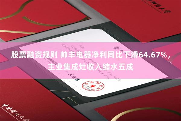 股票融资规则 帅丰电器净利同比下滑64.67%，主业集成灶收入缩水五成