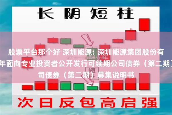 股票平台那个好 深圳能源: 深圳能源集团股份有限公司2024年面向专业投资者公开发行可续期公司债券（第二期）募集说明书