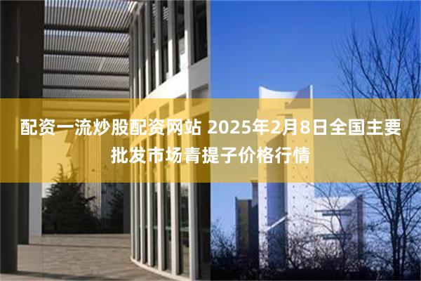 配资一流炒股配资网站 2025年2月8日全国主要批发市场青提子价格行情