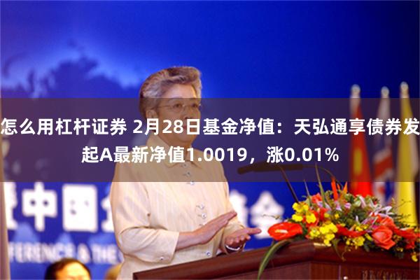 怎么用杠杆证券 2月28日基金净值：天弘通享债券发起A最新净值1.0019，涨0.01%